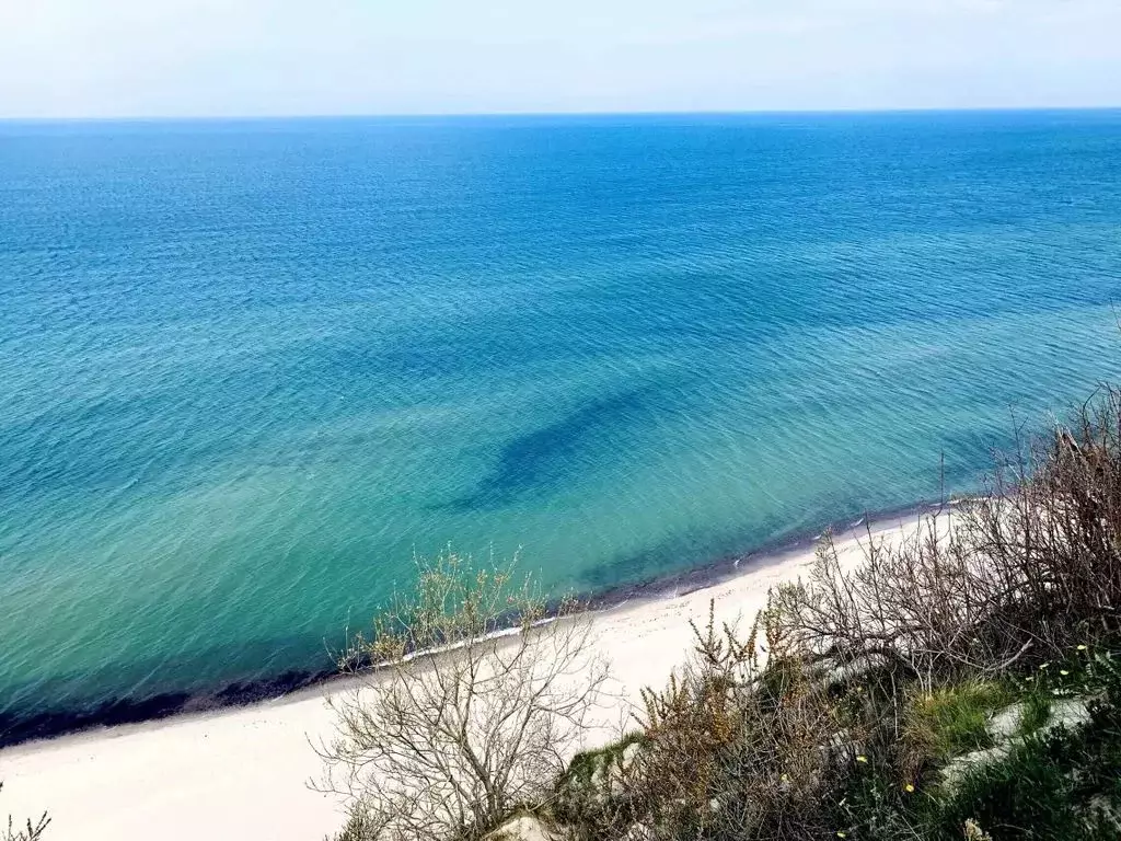 Дом в Калининградская область, Светлогорский городской округ, пос. ... - Фото 1