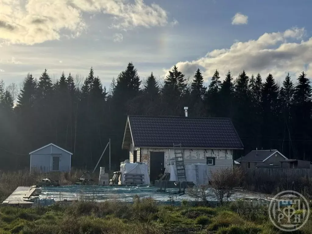 Участок в Ленинградская область, Волосовский район, Бегуницкое с/пос, ... - Фото 2