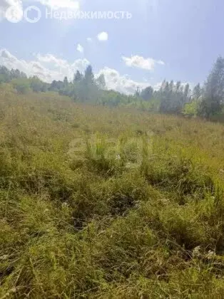 Участок в Новосибирск, СНТ Берёзка-2 (4.7 м) - Фото 1