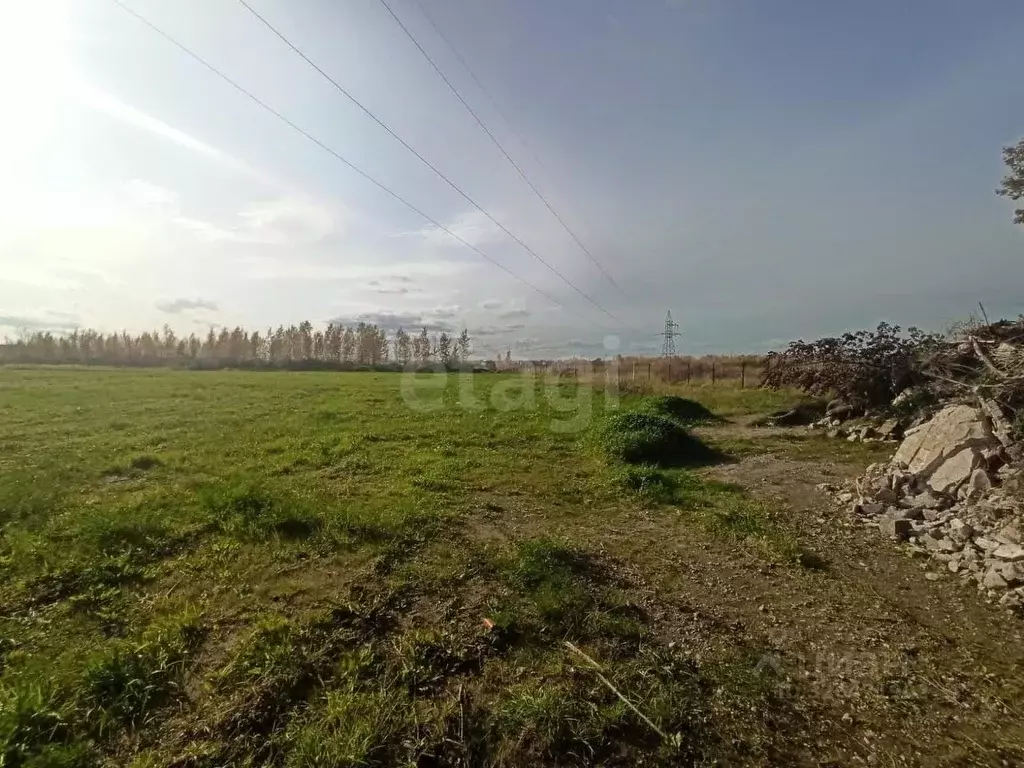 Участок в Красноярский край, Красноярск городской округ, Березовка ... - Фото 2