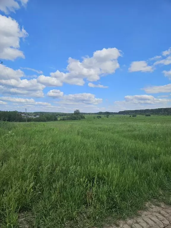 Участок в Ленинградская область, Тосно г. Тосненский район, Тосненское ... - Фото 1