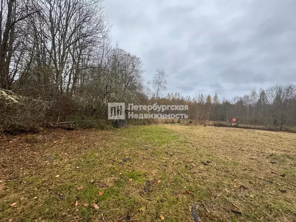 Участок в Псковская область, Гдовский район, Плесновская волость, д. ... - Фото 2