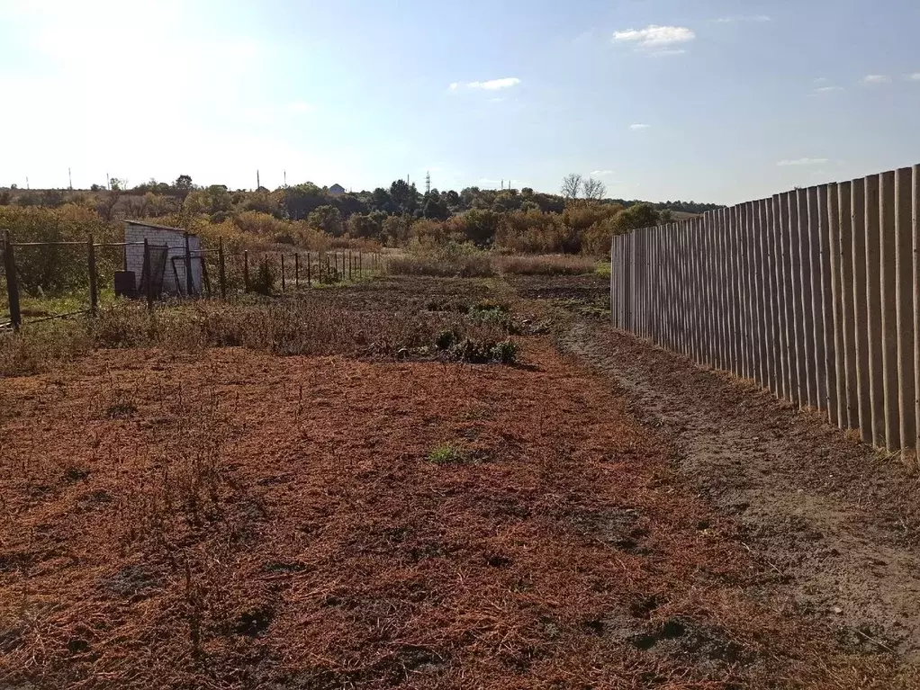 Участок в Белгородская область, Белгородский район, с. Стрелецкое ... - Фото 1