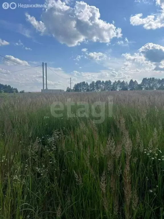 Участок в Республика Мордовия, городской округ Саранск, посёлок ... - Фото 1