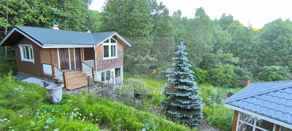 Коттедж в Ленинградская область, Выборгский район, Рощинское городское ... - Фото 1