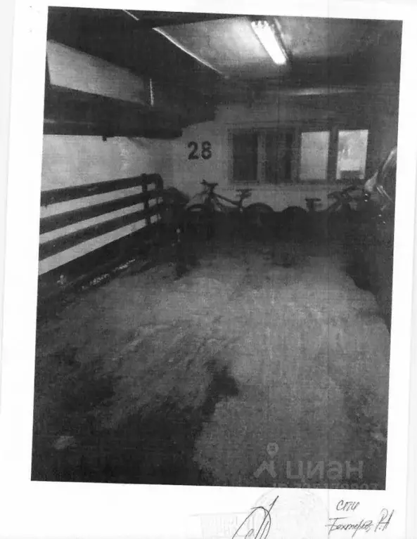 Помещение свободного назначения в Тюменская область, Тюмень ул. ... - Фото 2