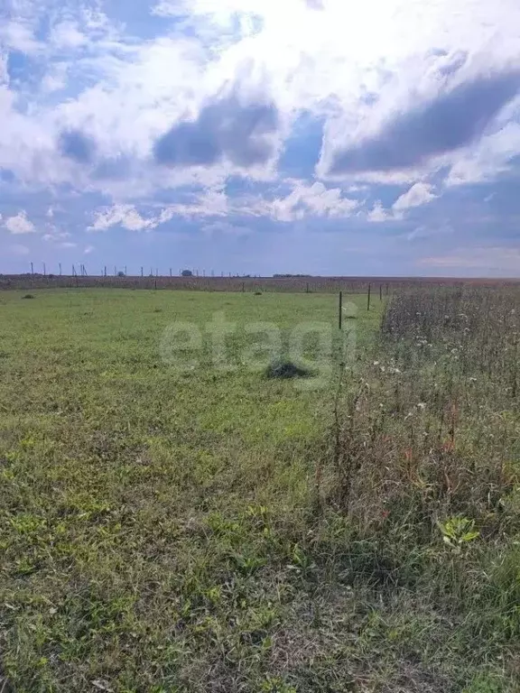Участок в Кемеровская область, Юрга Полевая ул. (1106.0 сот.) - Фото 1