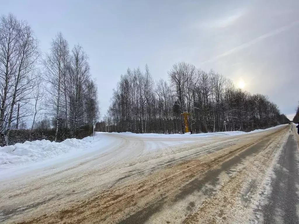 Участок в Владимирская область, Муром д. Орлово,  (33.0 сот.) - Фото 2