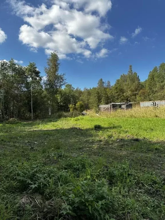 Участок в Ленинградская область, Ломоносовский район, Оржицкое с/пос, ... - Фото 1