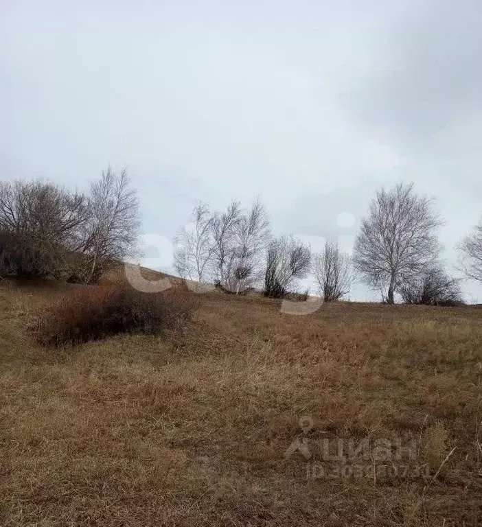 Участок в Бурятия, Иволгинский район, Гурульбинское муниципальное ... - Фото 1