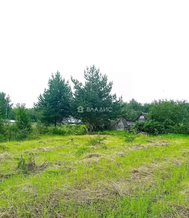 Участок в Калужская область, Боровск Калужская ул. (10.0 сот.) - Фото 1