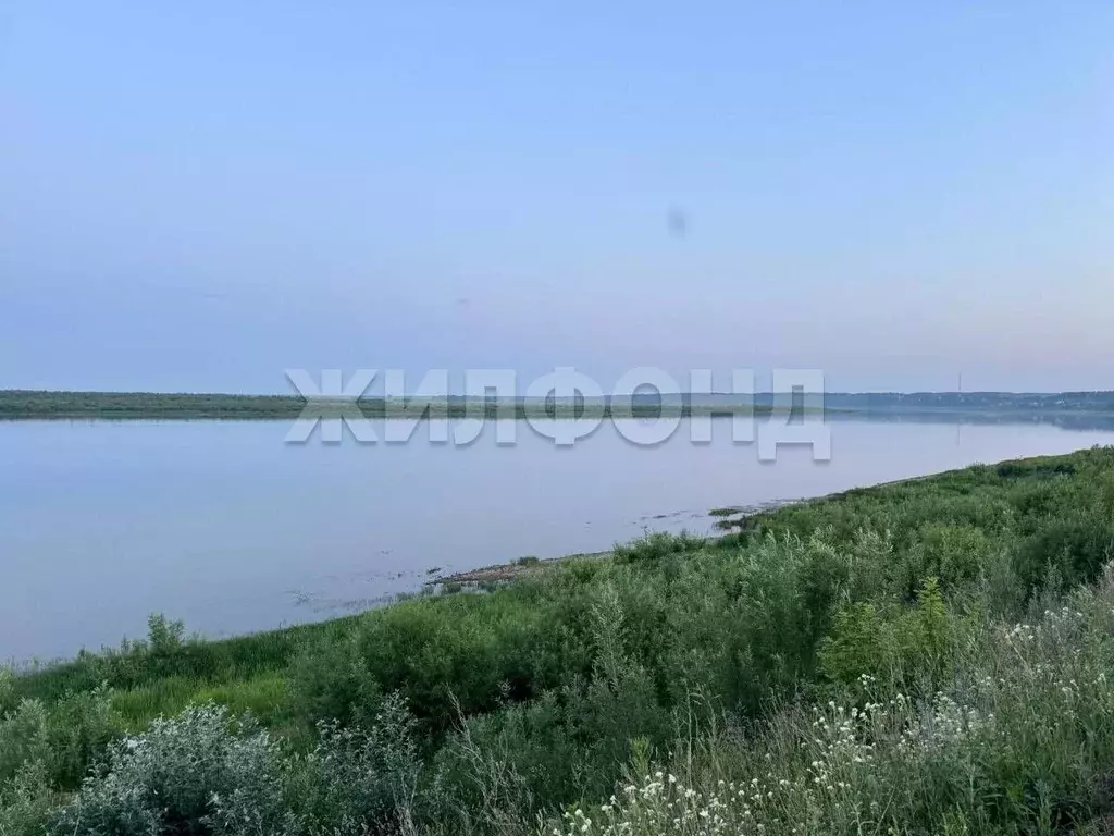 Участок в Томская область, Томский район, с. Калтай Новая ул. (9.76 ... - Фото 1