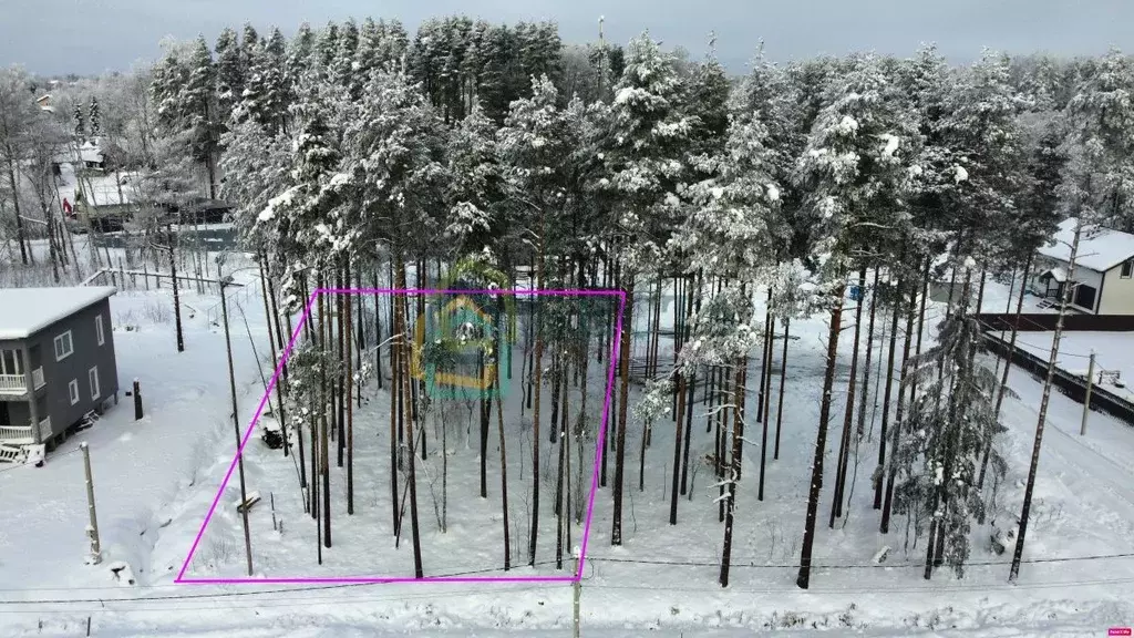 Участок в Ленинградская область, Всеволожский район, Токсовское ... - Фото 1