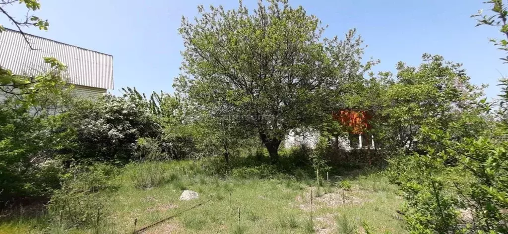 Участок в Севастополь Вулкан СНТ, 46 (3.7 сот.) - Фото 1