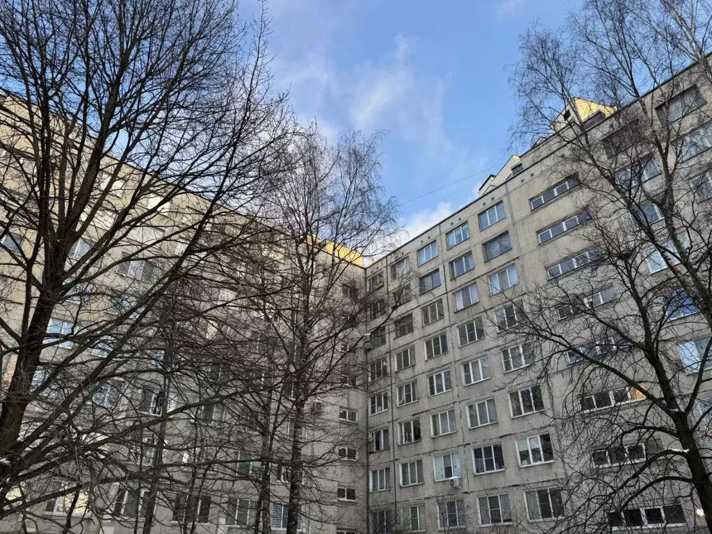 2-к кв. Санкт-Петербург Богатырский просп., 3К1 (44.6 м) - Фото 1