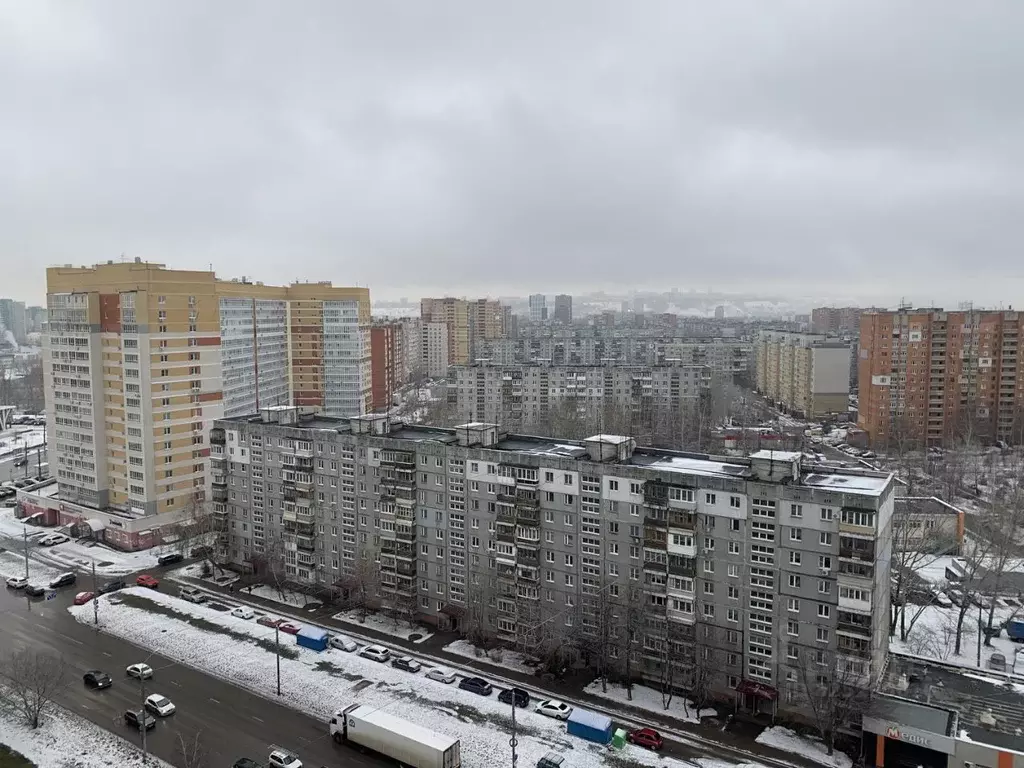1-к кв. Нижегородская область, Нижний Новгород Мещерское Озеро ... - Фото 1