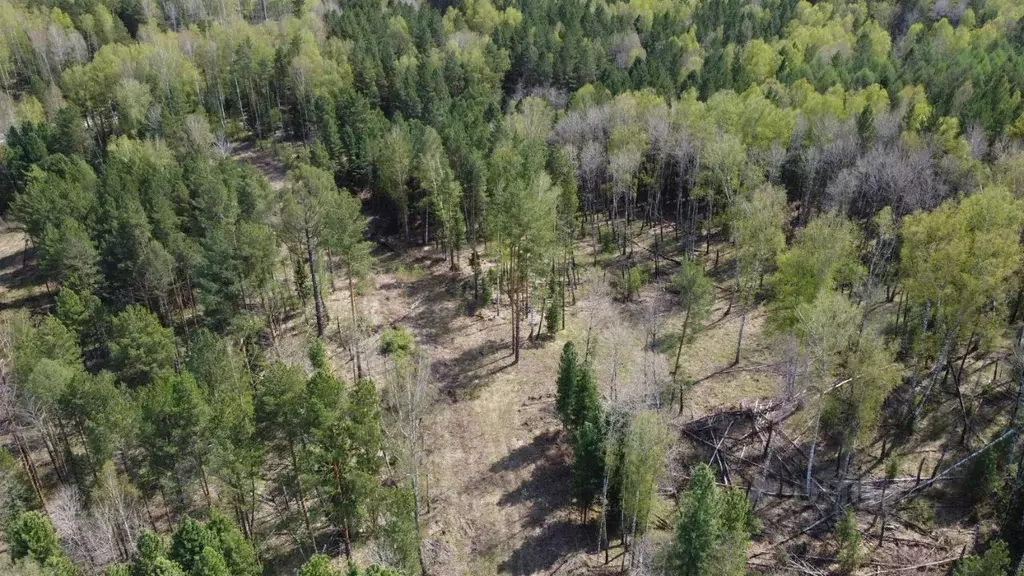 Участок в Томская область, Томский район, Богашевское с/пос, д. ... - Фото 1