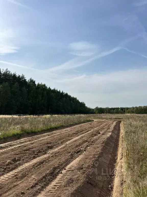 Участок в Московская область, Раменский муниципальный округ, Опушкино ... - Фото 1