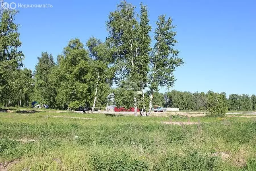 Участок в Морозовский сельсовет, дачное некоммерческое товарищество ... - Фото 0