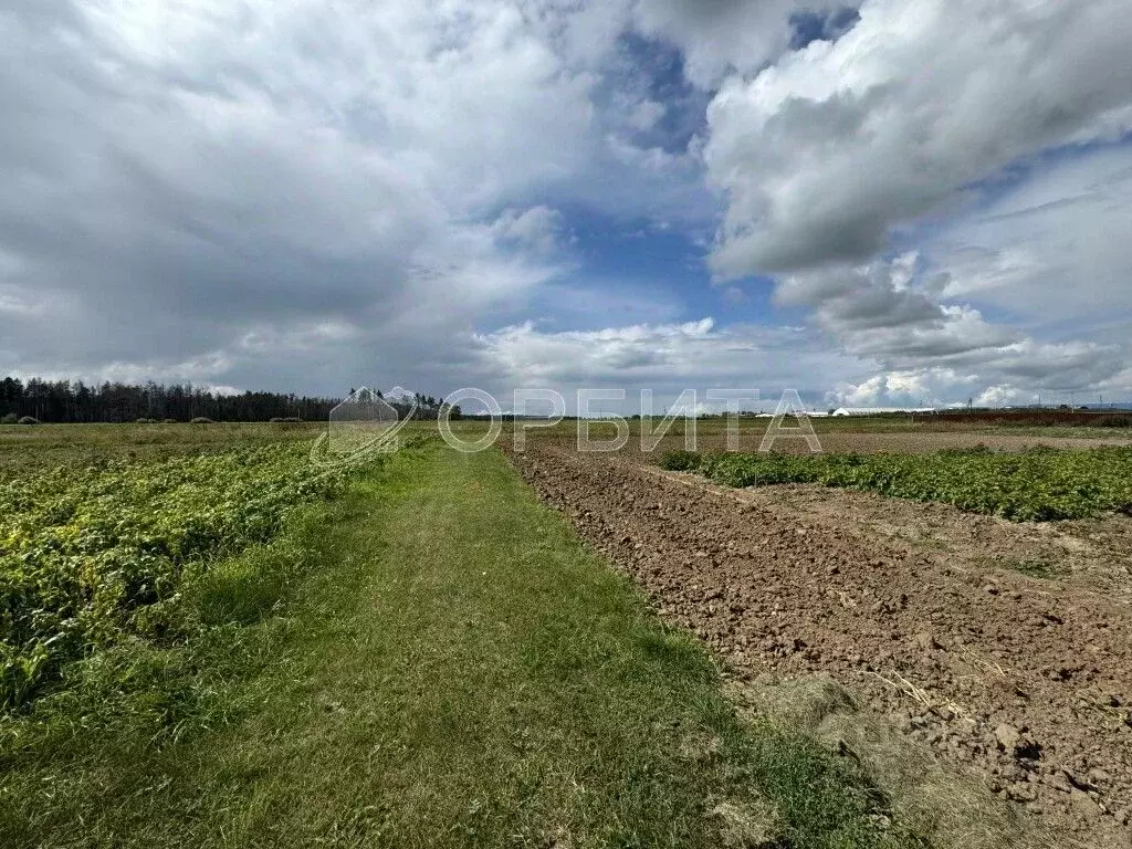 Участок в Тюменская область, Тюменский район, с. Успенка ул. ... - Фото 1