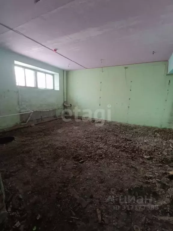 Помещение свободного назначения в Амурская область, с. Тамбовка ул. ... - Фото 1