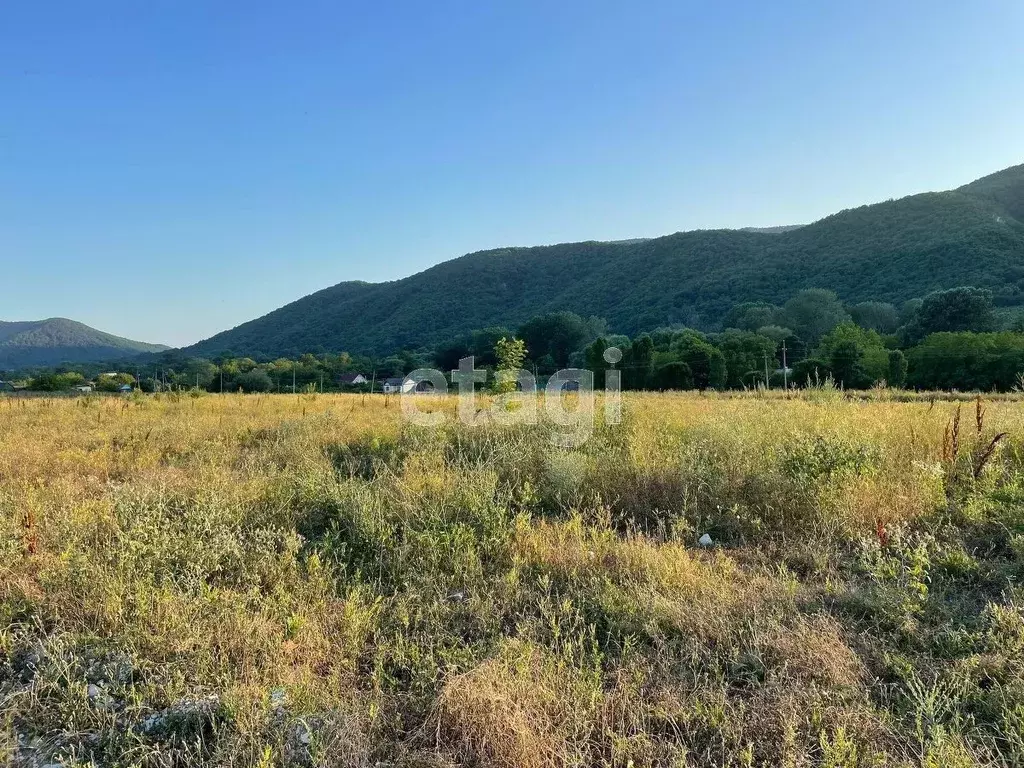 Участок в Краснодарский край, Геленджик городской округ, с. Береговое  ... - Фото 2