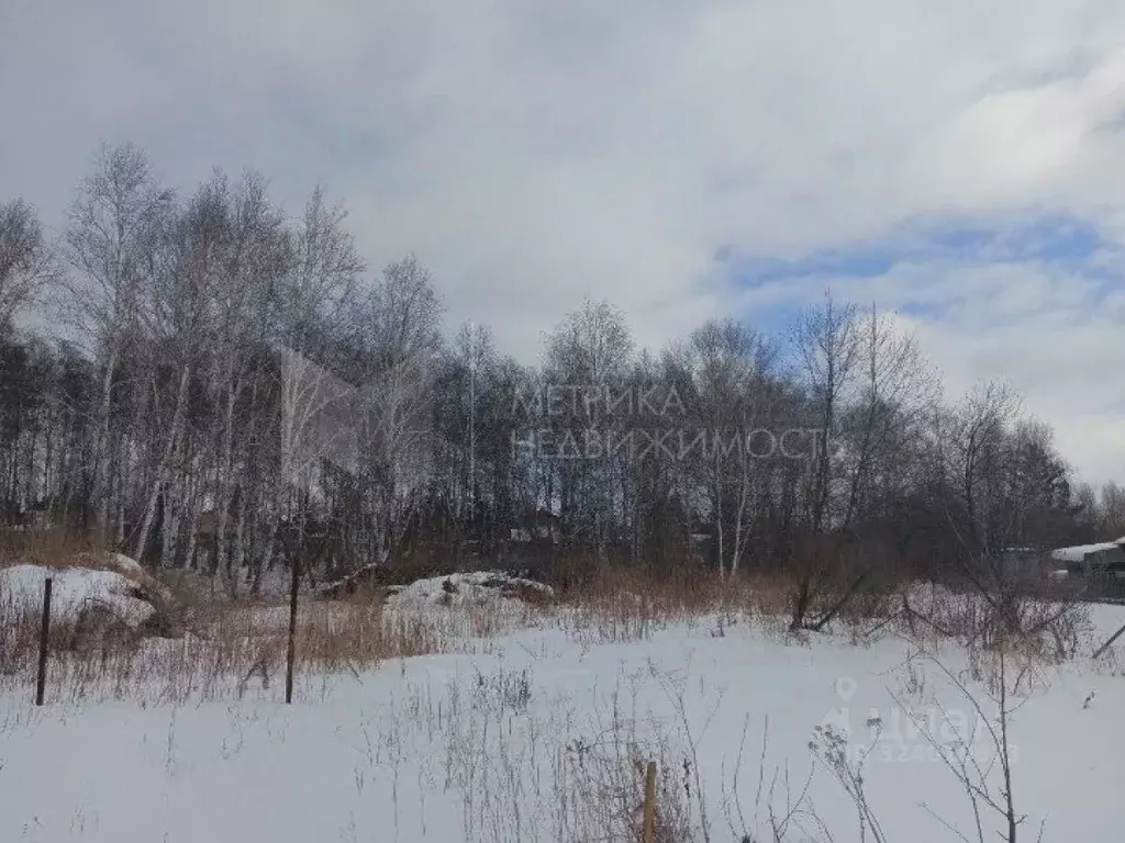 Участок в Тюменская область, Тюмень Плодовое СНТ, 712 (9.1 сот.) - Фото 1