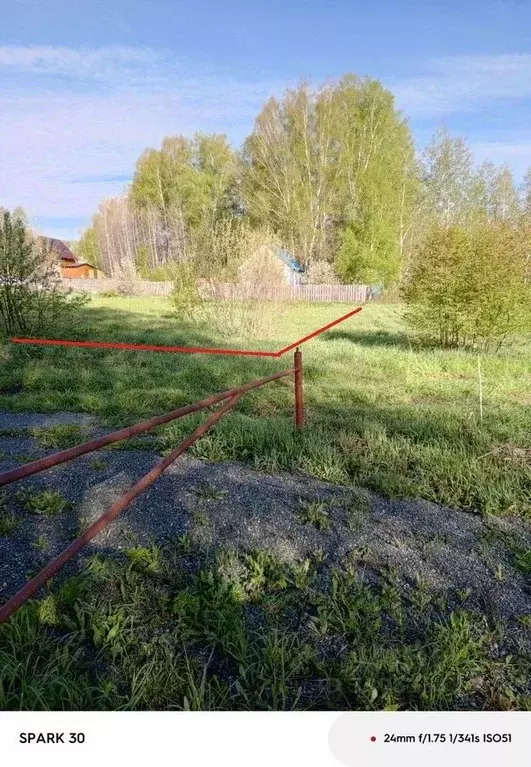 Участок в Новосибирская область, Новосибирский район, Раздольненский ... - Фото 2