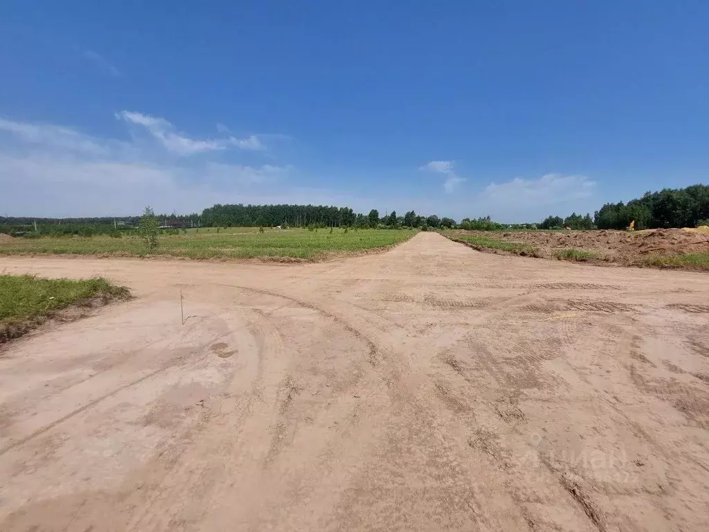 Участок в Московская область, Раменский муниципальный округ, Ист ... - Фото 2