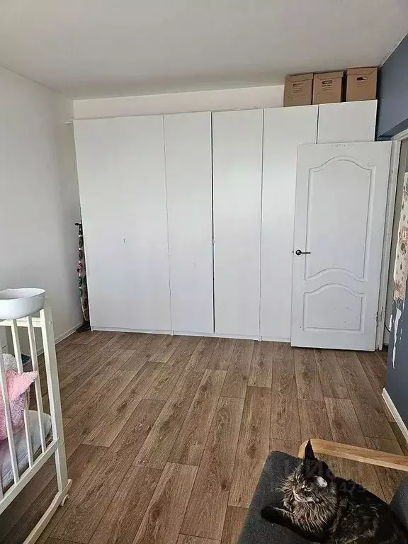 2-к кв. Москва ул. Островитянова, 11 (54.0 м) - Фото 1