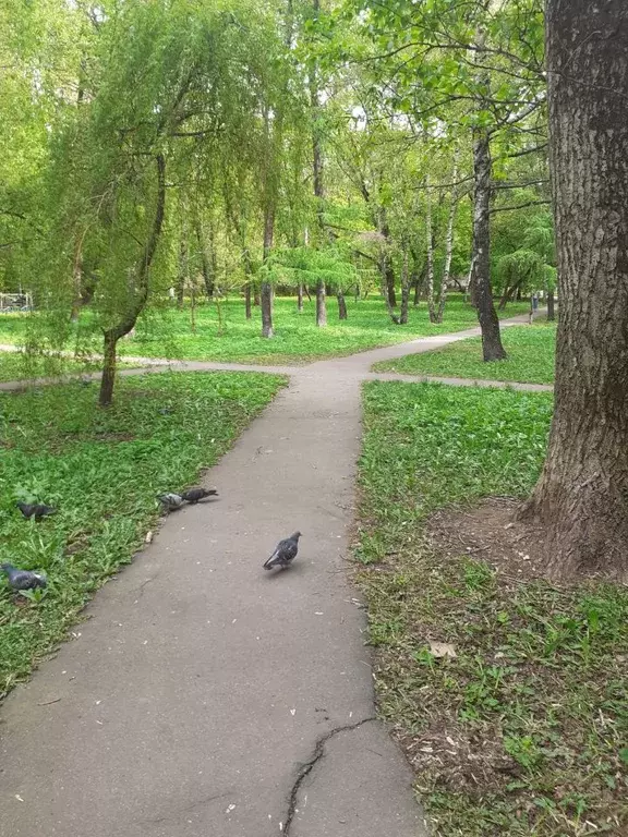 Дом в Московская область, Сергиево-Посадский городской округ, с. ... - Фото 0