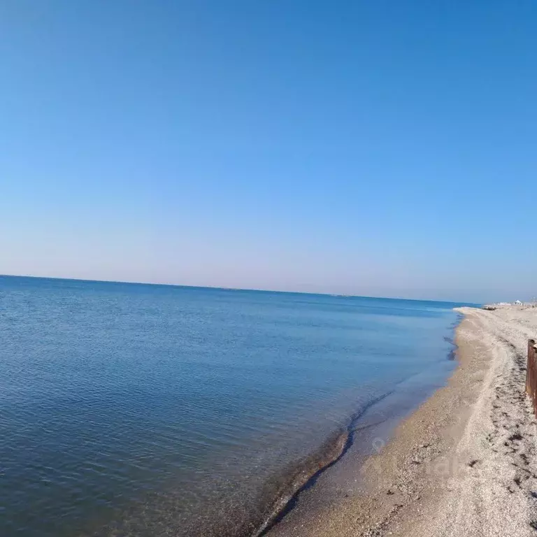 Дом в Краснодарский край, Ейский район, Должанская ст-ца Степная ул. ... - Фото 2
