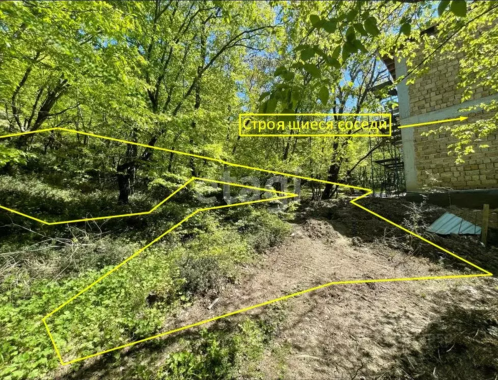 Участок в Крым, Ялта муниципальный округ, Массандра пгт ул. Винодела ... - Фото 1