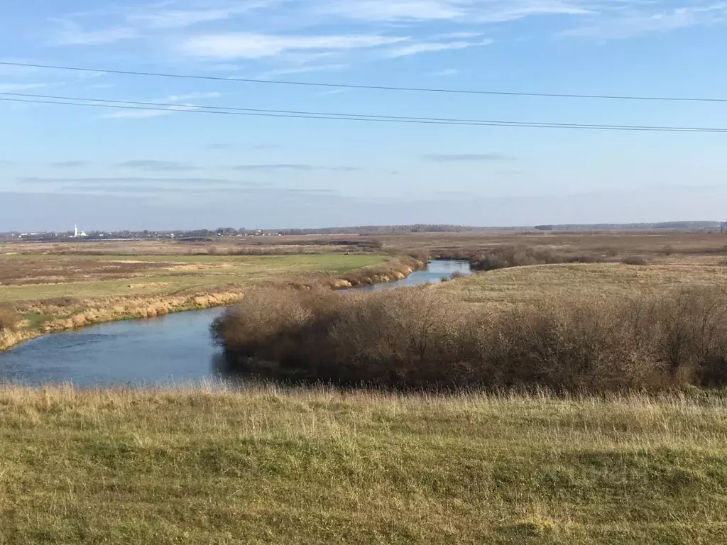 Участок в Ивановская область, Гаврилово-Посадский район, Петровское ... - Фото 2
