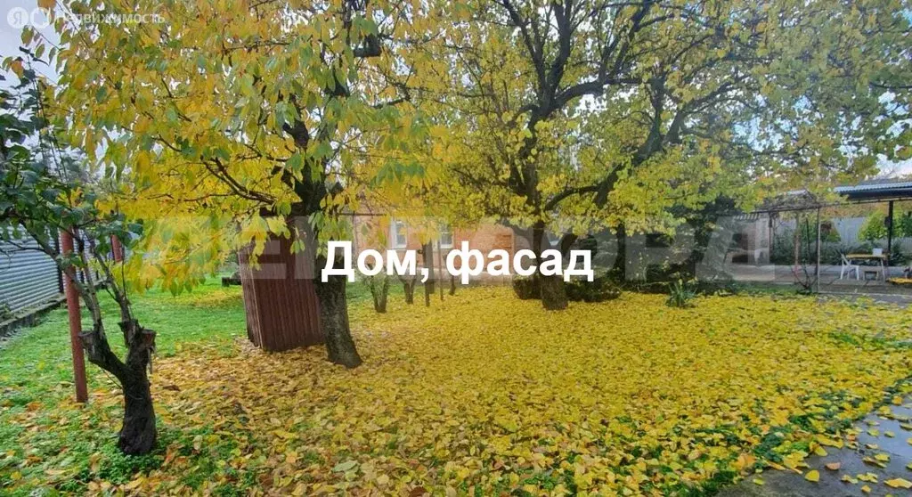 Участок в Ростов-на-Дону, проспект Ленина (40 м) - Фото 0