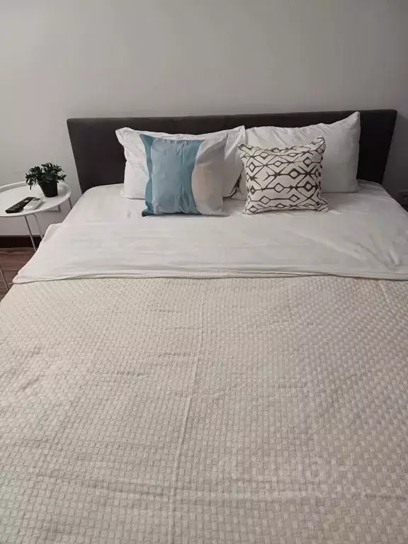 1-к кв. Московская область, Пушкино ул. Антона Ветчинова, 3к1 (30.0 м) - Фото 1