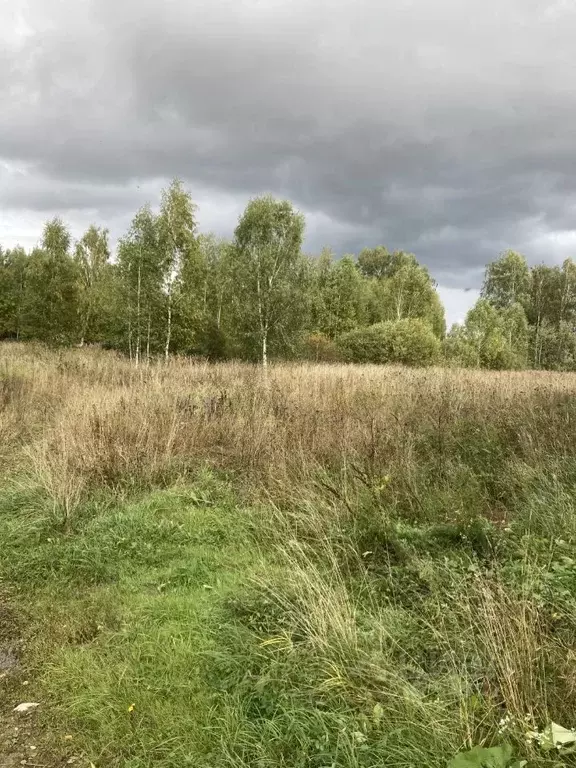 Участок в Смоленская область, Гагаринское с/пос, д. Юрино  (30.0 сот.) - Фото 0