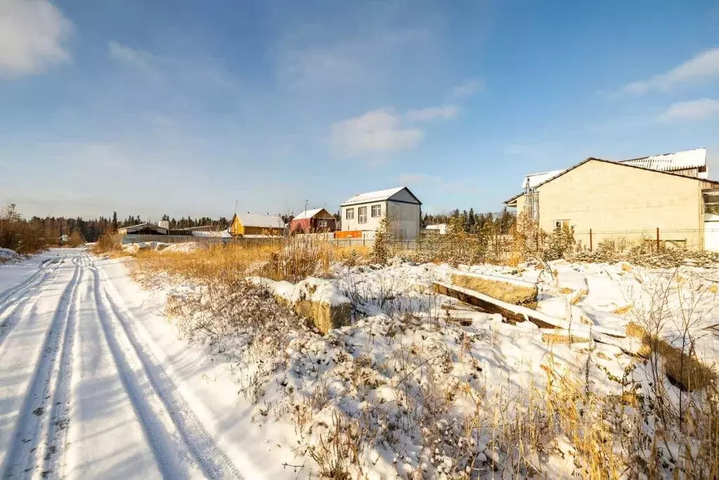 Участок в Ханты-Мансийский АО, Сургут № 47 Лайнер садовое ... - Фото 1