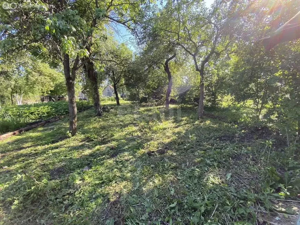 Участок в Калининград, СНТ Пищевик (7.5 м) - Фото 2