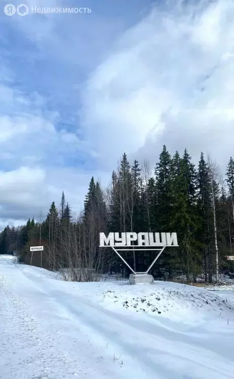 Дом в Мураши, Комсомольская улица, 14 (80 м) - Фото 1