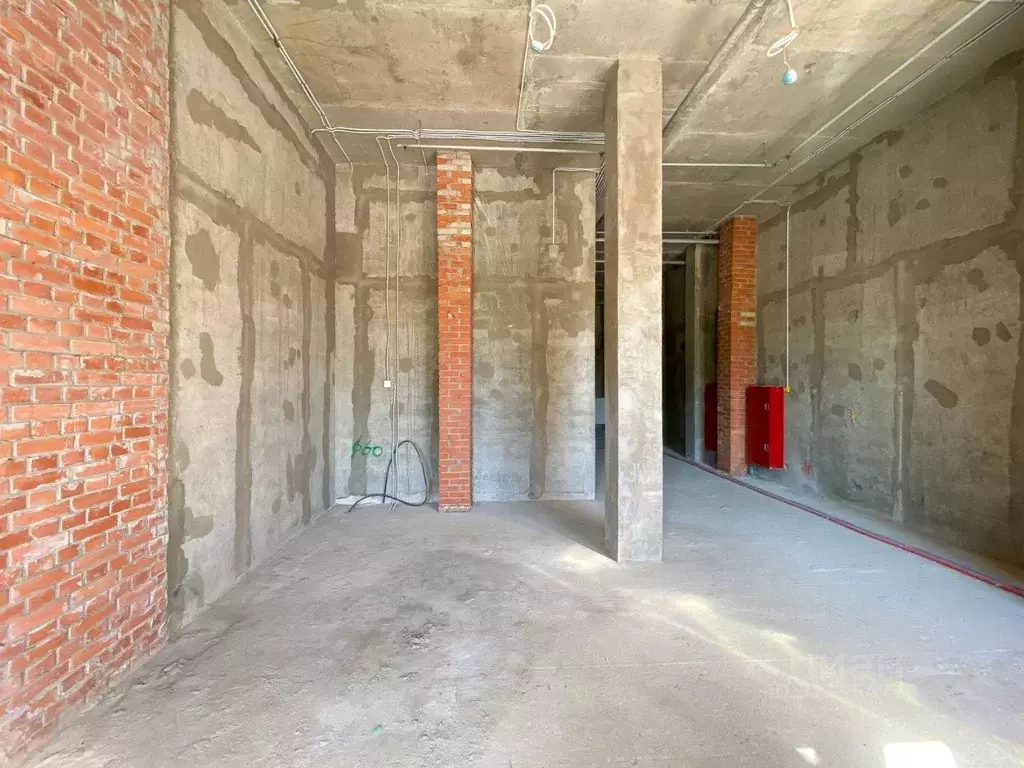 Помещение свободного назначения в Санкт-Петербург ул. Типанова, 22 (92 ... - Фото 1