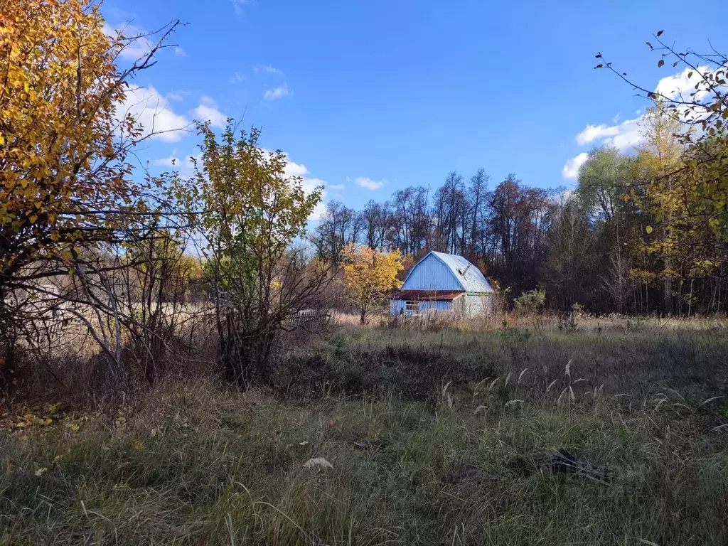 Дом в Пензенская область, Городищенский район, Чаадаевка рп ул. ... - Фото 1