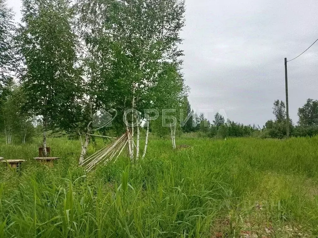 Участок в Тюменская область, Нижнетавдинский район, Строитель ТСН 786 ... - Фото 1