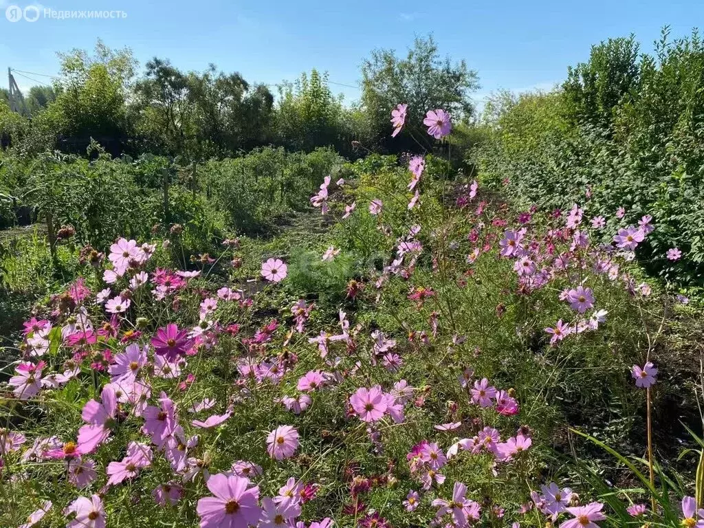 Участок в Ялуторовский район, деревня Анисимовка, Новая улица (6 м) - Фото 1