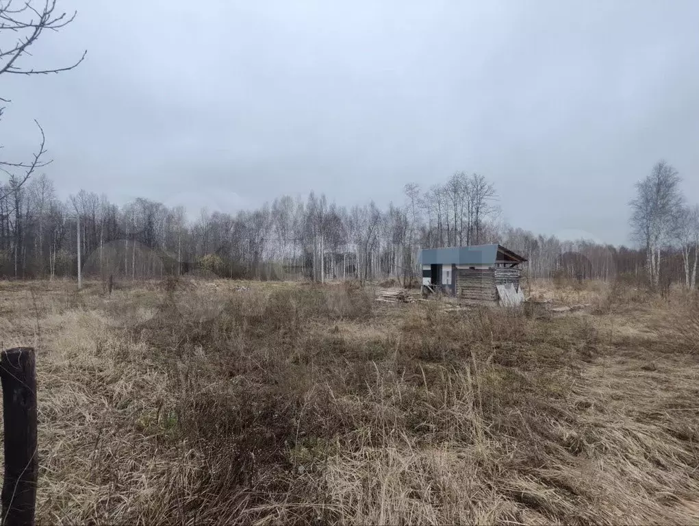 Участок 10 сот. (СНТ, ДНП) - Фото 0
