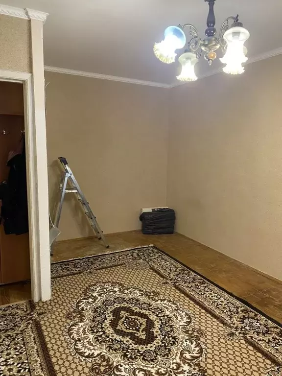 1-к кв. Московская область, Чехов муниципальный округ, с. Шарапово, ... - Фото 2