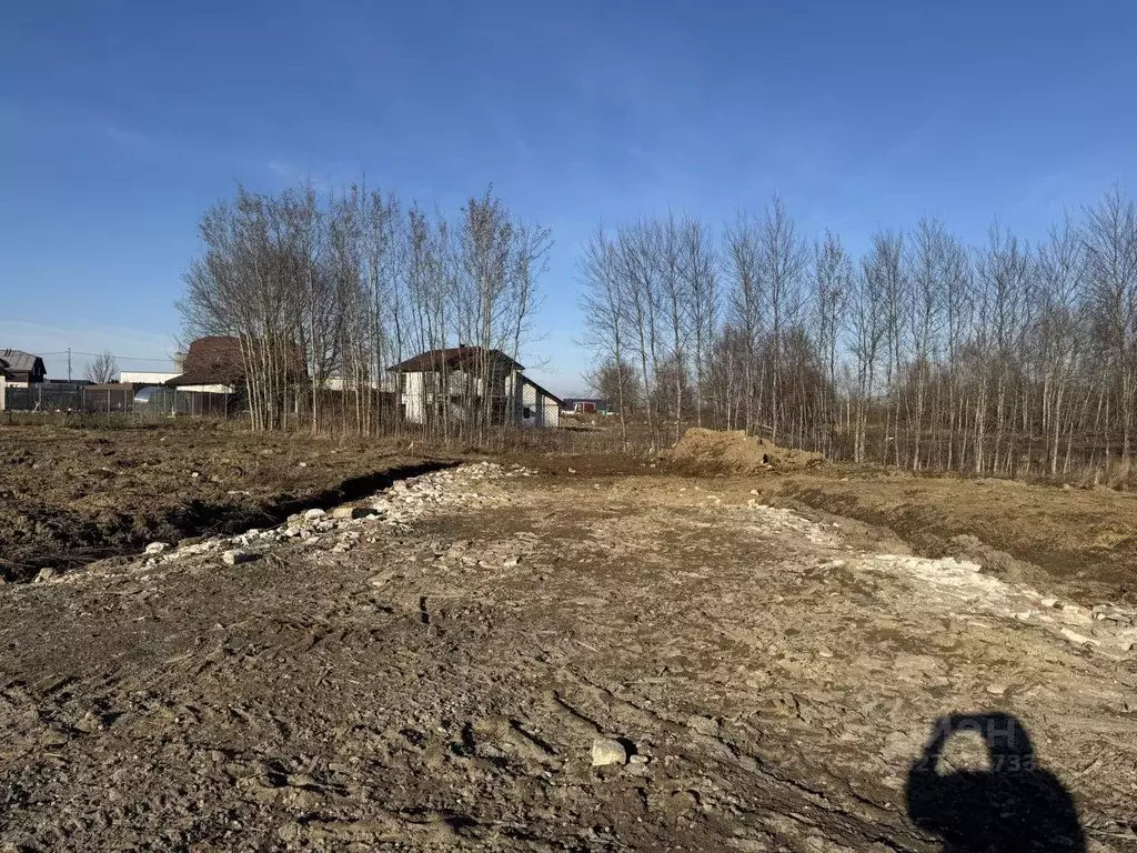 Участок в Калининградская область, Гурьевский муниципальный округ, ... - Фото 2