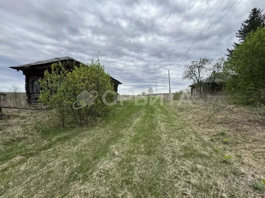 Участок в Свердловская область, Слободо-Туринский район, ... - Фото 1
