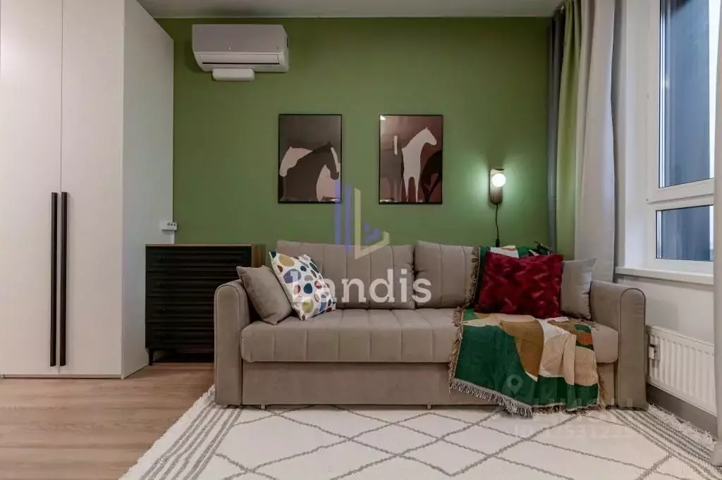 Студия Московская область, Домодедово городской округ, с. Ям ул. ... - Фото 1