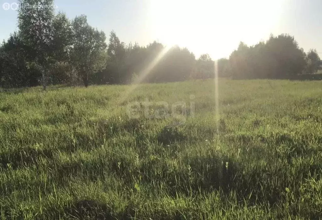 Участок в деревня Лихун, Агатовая улица (14 м) - Фото 2